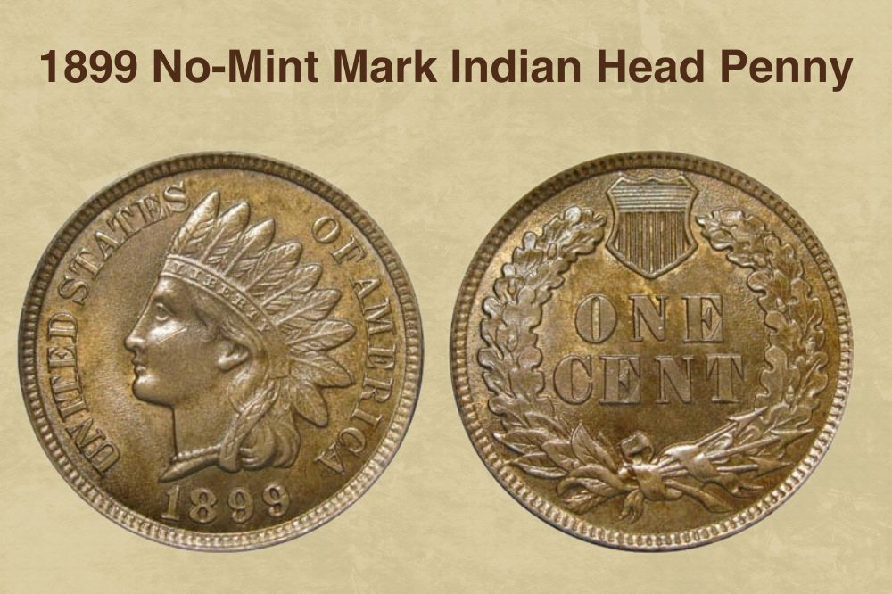1899 No-Mint Mark Indian Head Penny