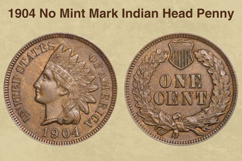 1904 No mint mark Indian Head Penny