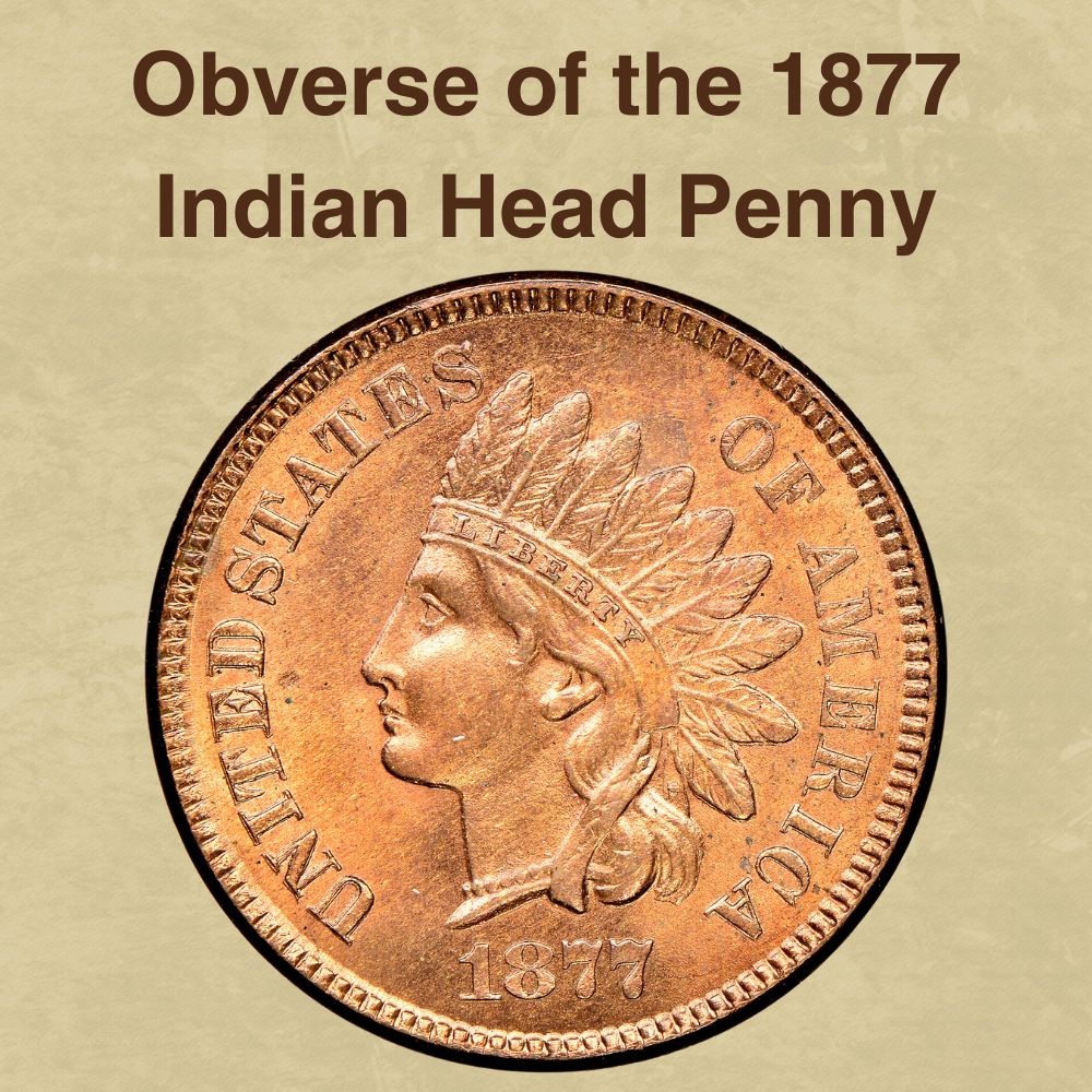 The Obverse of the 1877 Indian Head Penny
