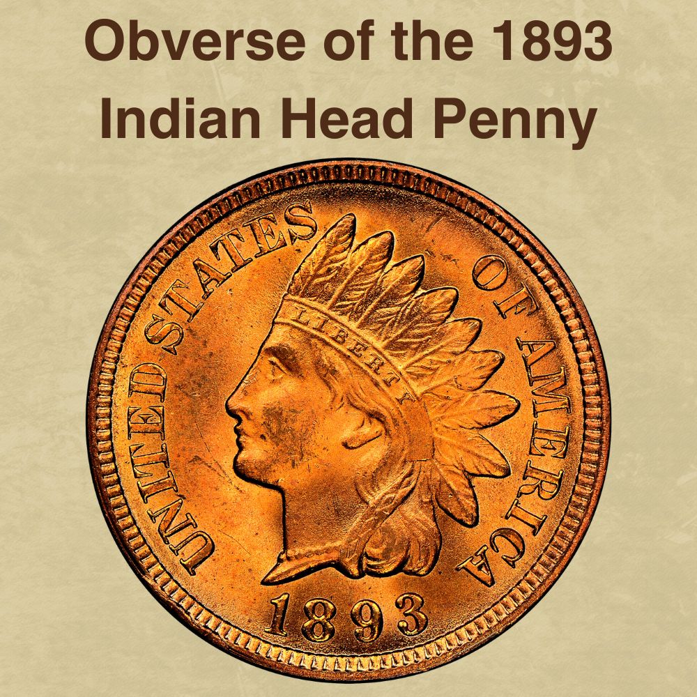 The obverse of the 1893 Indian Head Penny