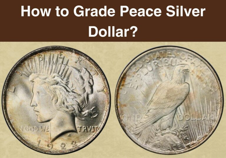 How to Grade Peace Silver Dollar?